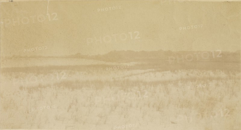 Landscape, probably at Manasquan, N.J; Thomas Eakins, American, 1844 - 1916, 1880; Albumen silver print
