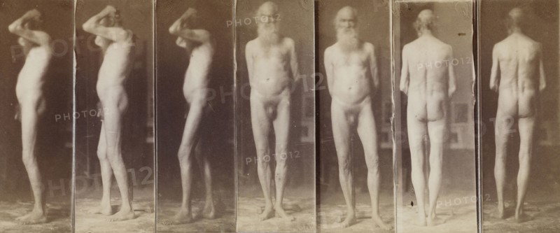 Naked Series: Old Man; Thomas Eakins, American, 1844 - 1916, United States; about 1883; Albumen silver print