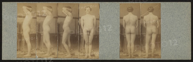 Male student; Thomas Eakins, American, 1844 - 1916, 1883; Albumen silver print