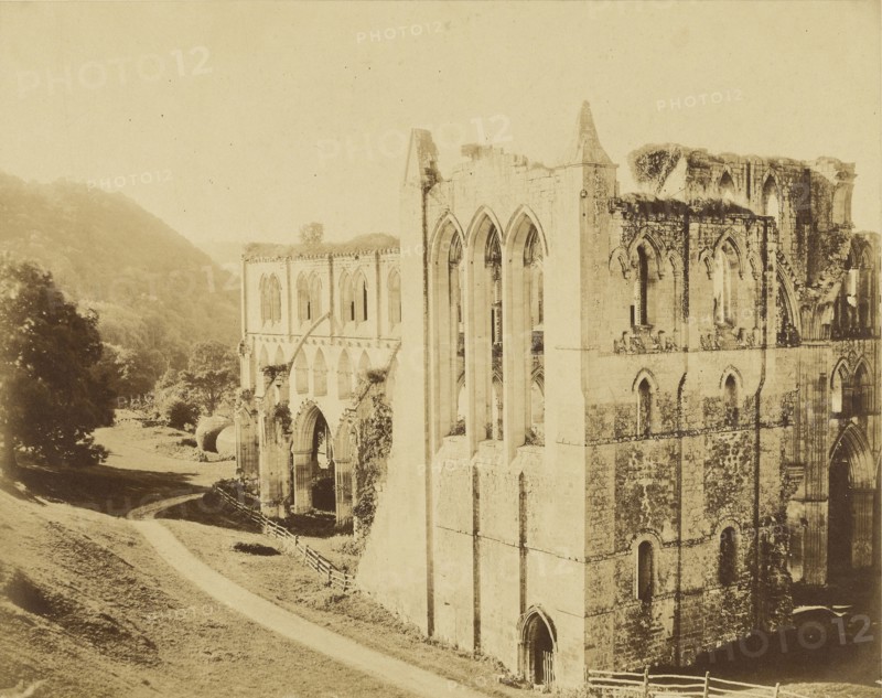 Rievaulx Abbey; Roger Fenton, English, 1819 - 1869, Rievaulx, England; 1854; Albumen silver print
