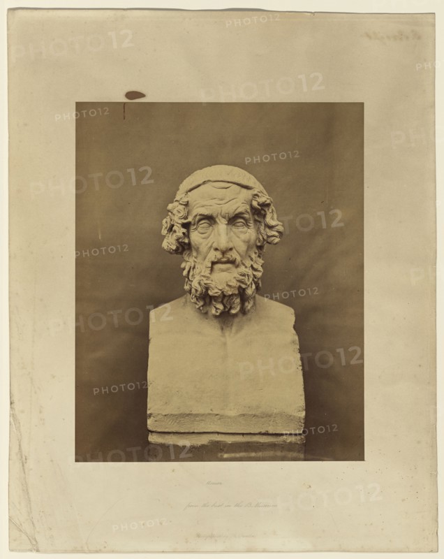 Homer, from the bust in the British Museum; Roger Fenton, English, 1819 - 1869, about 1857; Salted paper print; 31.8 x 25.4 cm