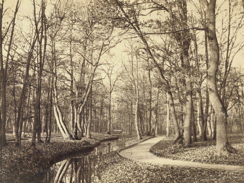 Bois de Boulogne, Paris; Charles Marville, French, 1813 - 1879, Paris, France; negative about 1858; print after 1871; Albumen