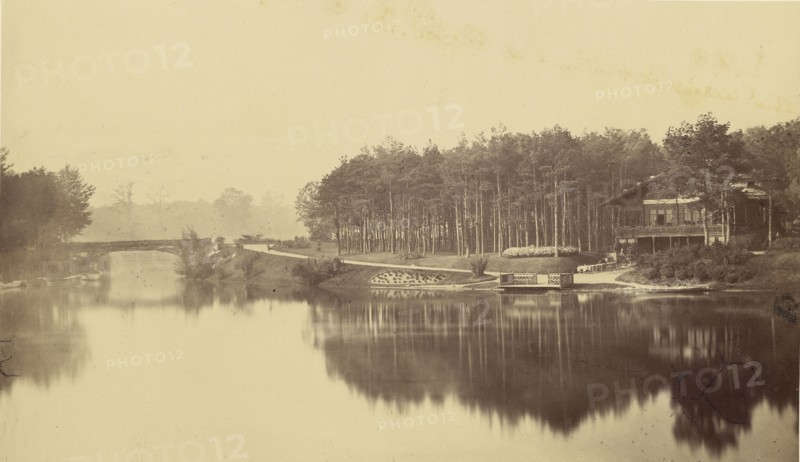 Bois de Boulogne, Paris; Charles Marville, French, 1813 - 1879, Paris, France; negative 1855 - 1870; print after 1870; Albumen