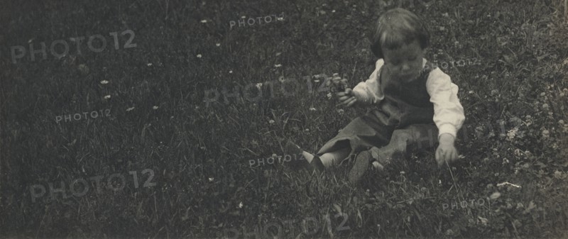 Charles O'Malley Sitting in the Grass Picking Flowers; Gertrude Käsebier, American, 1852 - 1934, Newport, Rhode Island, USA
