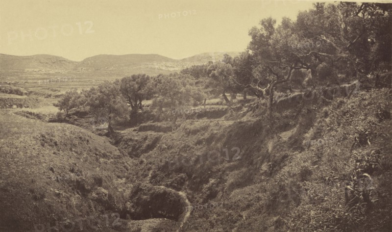 Kaleppa view of countryside; William J. Stillman, American, 1828 - 1901, 1860s; Albumen silver print