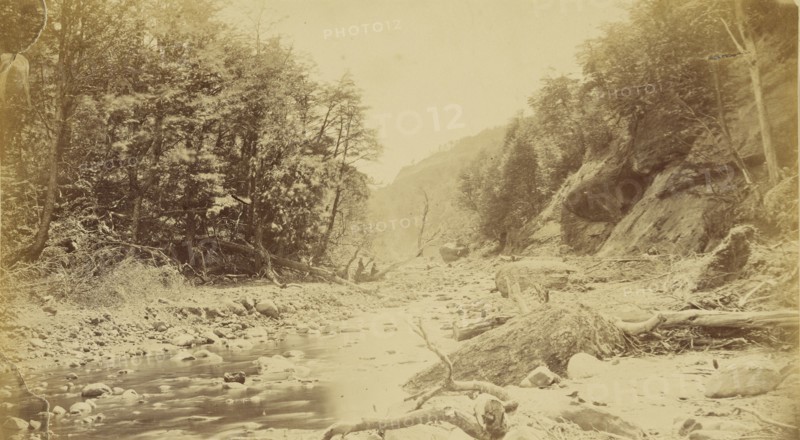Landscape with a river, possibly in South America; 1870s; Albumen silver print