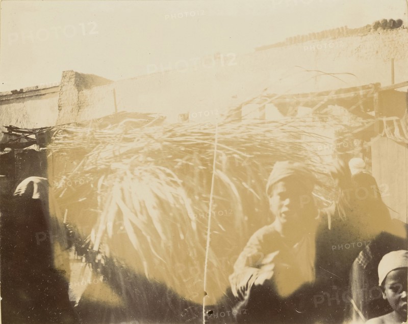 Boy in front of bundle of branches; about 1860 - 1880; Tinted Albumen silver print
