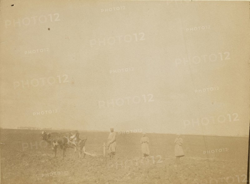 Man plowing; about 1860 - 1880; Tinted Albumen silver print