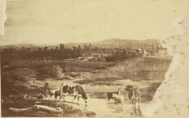 Landscape painting; about 1860 - 1890; Albumen silver print