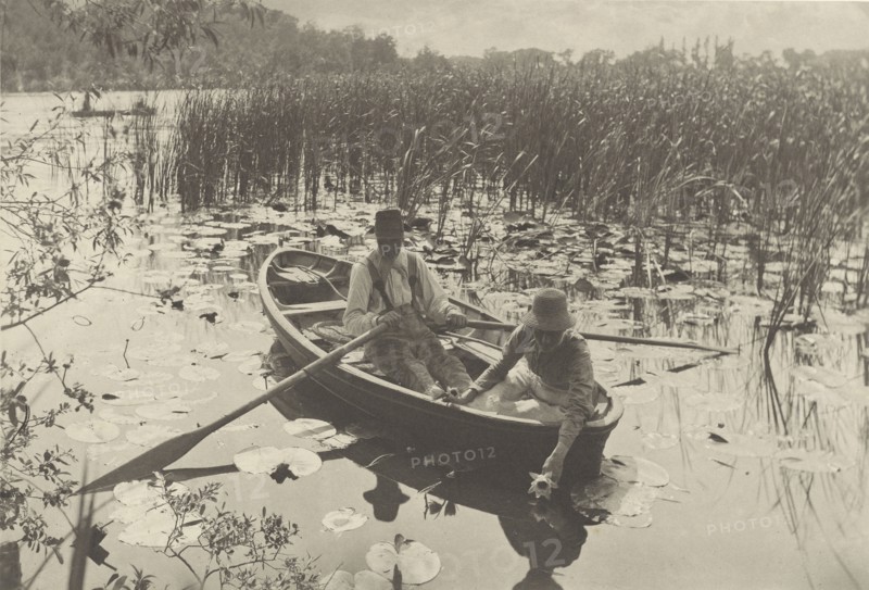 Gathering Water-Lilies; Peter Henry Emerson, British, born Cuba, 1856 - 1936, East Anglia, England; 1886; Platinum print