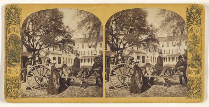 Florida Express. B. Magnolia; American; about 1865 - 1875; Albumen silver print