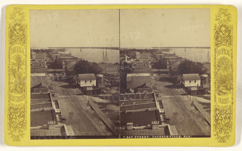 Bay Street, Jacksonville, Fla; American; about 1870 - 1880; Albumen silver print