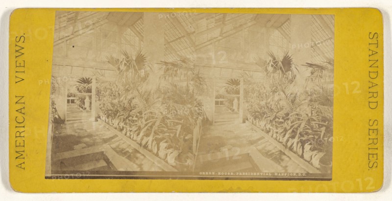 Green House, Presidential Mansion, D.C; American; about 1865 - 1875; Albumen silver print