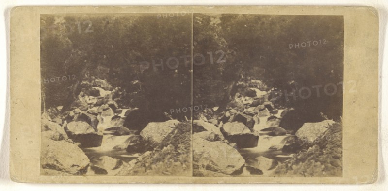 California. Scene in a Canon; C.L. Weed, American, 1824 - 1903, Edward and Henry T. Anthony & Co., American, 1862 - 1902