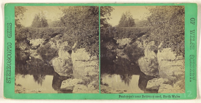 Pont-y-pair near Bettws-y-coed, North Wales; British; about 1865; Albumen silver print