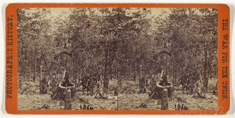 Woods on the left wing, Battle of Gettysburgh; Studio of Mathew B. Brady, American, about 1823 - 1896, July 1863; Albumen