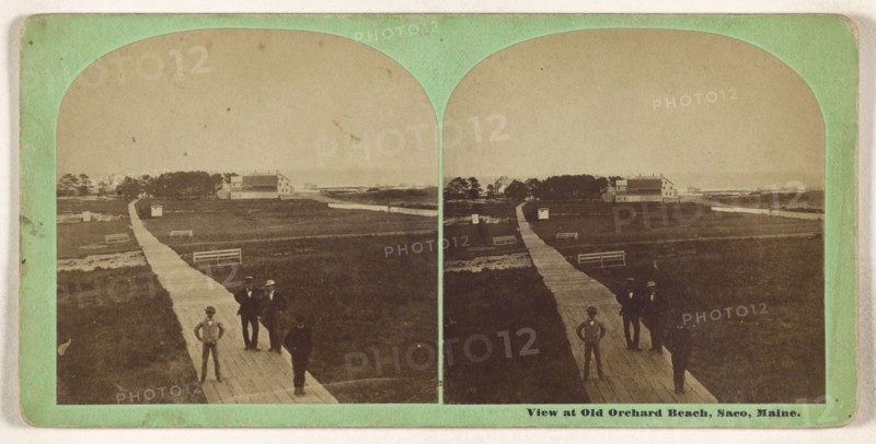 View at Old Orchard Beach, Saco, Maine; B.F. Cole, American, active 1860s, 1860s; Albumen silver print