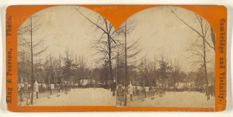 Winter View, Mt. Auburn; King & Pearson; 1880s; Albumen silver print