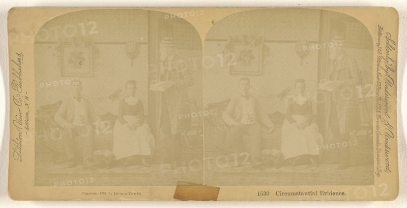 Circumstantial Evidence; Franklin G. Weller, American, 1833 - 1877, 1891; Albumen silver print