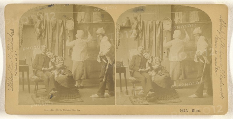 Bliss; Franklin G. Weller, American, 1833 - 1877, 1888; Albumen silver print