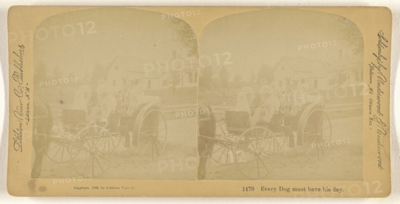 Every Dog must have his day; Franklin G. Weller, American, 1833 - 1877, 1889; Albumen silver print