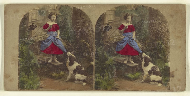 Dining Out, and Nothing for the Waiter; Attributed to London Stereoscopic Company, active 1854 - 1890, about 1860; Hand colored