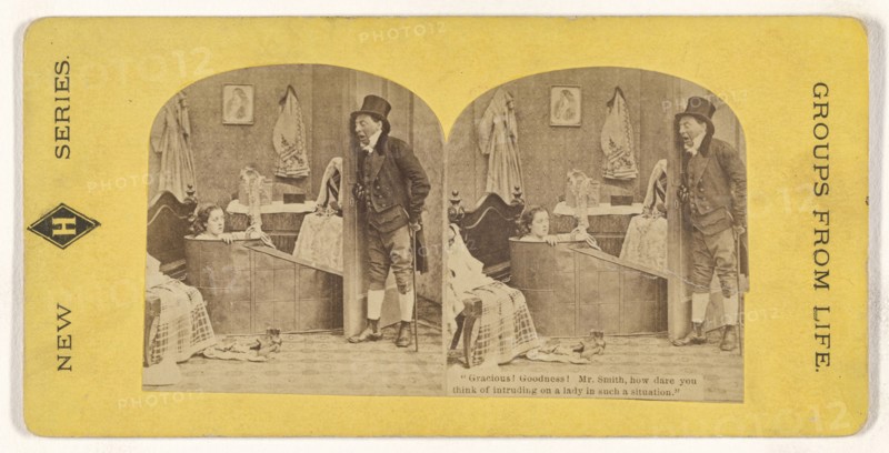 Gracious. Goodness. Mr. Smith, how dare you think of intruding on a lady in such a situation.; American; about 1870; Albumen