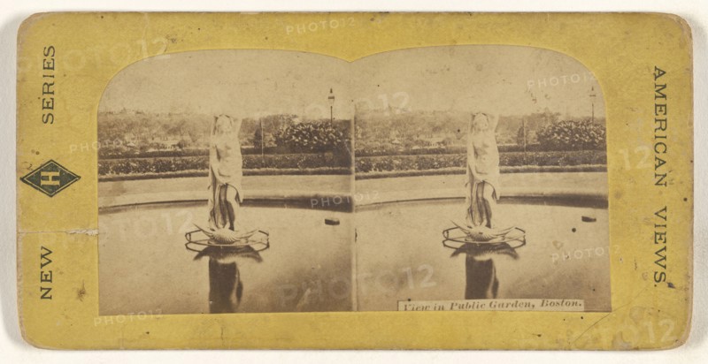 View in Public Garden, Boston; American; about 1870; Albumen silver print