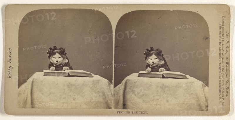 Finding the Text; John P. Soule, American, 1827 - 1904, 1871; Albumen silver print