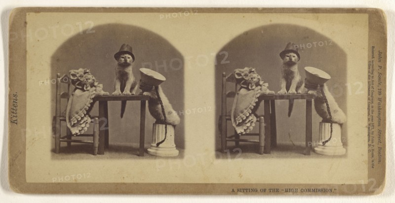 A Sitting of the  High Commission.; John P. Soule, American, 1827 - 1904, 1871; Albumen silver print