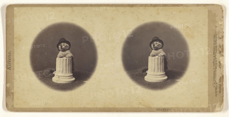 Grand-Pa; John P. Soule, American, 1827 - 1904, 1871; Albumen silver print