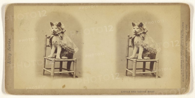 Little Red Riding Hood; John P. Soule, American, 1827 - 1904, 1871; Albumen silver print