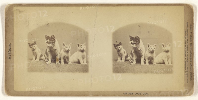 On the Look Out; John P. Soule, American, 1827 - 1904, 1871; Albumen silver print