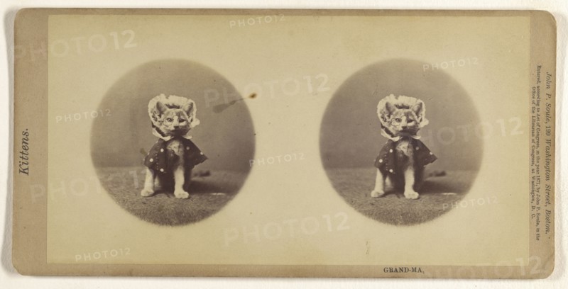 Grand-Ma; John P. Soule, American, 1827 - 1904, 1871; Albumen silver print
