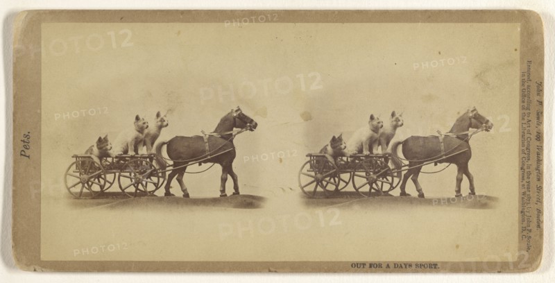 Out for a Days Sport; John P. Soule, American, 1827 - 1904, 1873; Albumen silver print