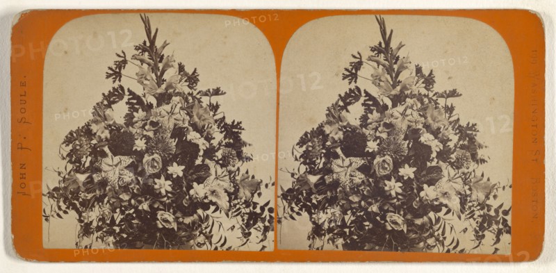 Flower arrangement; John P. Soule, American, 1827 - 1904, about 1870; Albumen silver print