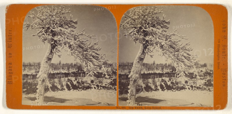 Ice Tree, Luna Island; John P. Soule, American, 1827 - 1904, about 1865; Albumen silver print