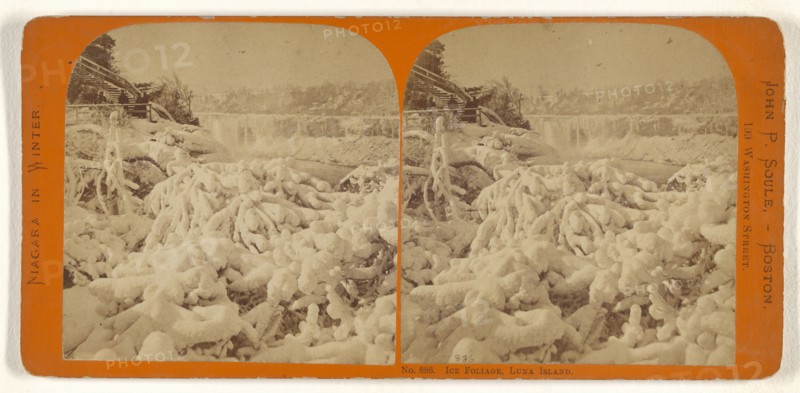 Ice Foliage, Luna Island; John P. Soule, American, 1827 - 1904, about 1865; Albumen silver print