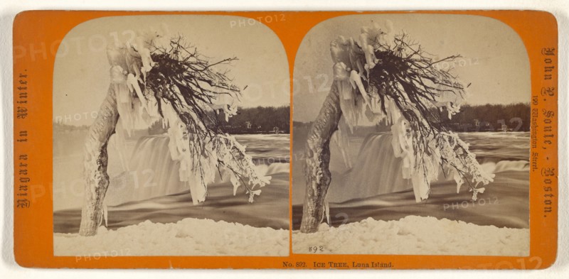 Ice Tree, Luna Island; John P. Soule, American, 1827 - 1904, about 1865; Albumen silver print