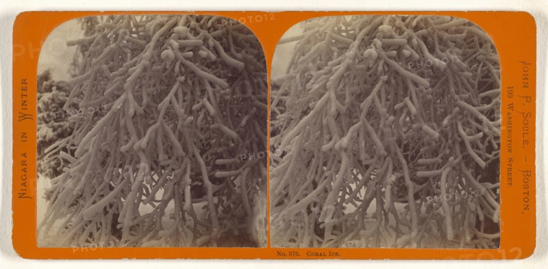 Coral Ice; John P. Soule, American, 1827 - 1904, about 1865; Albumen silver print