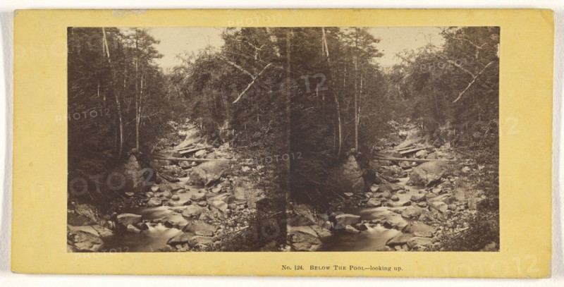 Below The Pool. - looking up; John P. Soule, American, 1827 - 1904, 1861 - 1862; Albumen silver print