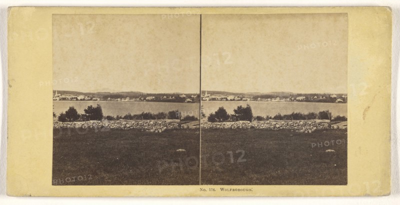 Wolfborough; John P. Soule, American, 1827 - 1904, 1861 - 1862; Albumen silver print