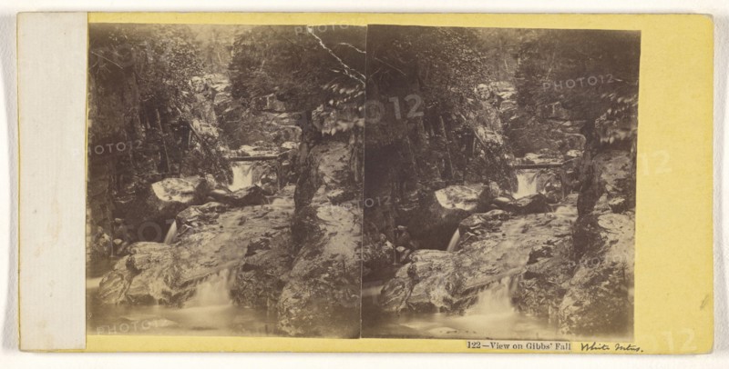 View on Gibbs' Fall; John P. Soule, American, 1827 - 1904, about 1861; Albumen silver print