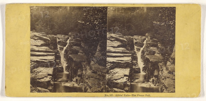 Gibbs Fall - The Flume Fall; John P. Soule, American, 1827 - 1904, about 1861; Albumen silver print