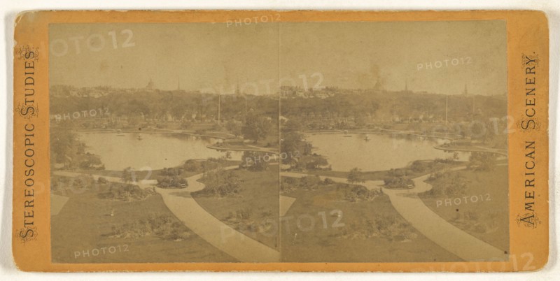 High angle view on an  large American garden, possibly at Lockport, New York; American; about 1865; Albumen silver print