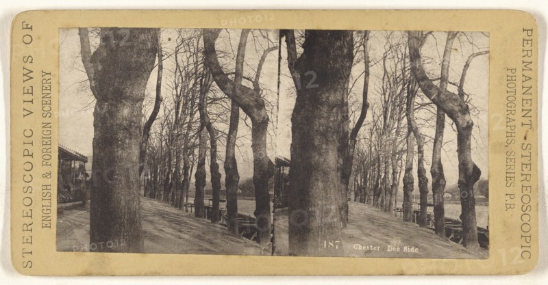 Chester. Dee Side; British; 1880s; Collotype