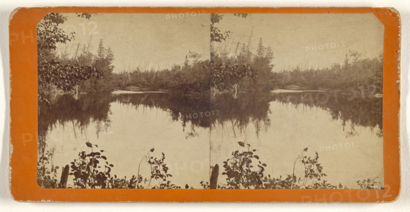 View on the Squatook river, one of the feeders of the upper St. John; George T. Taylor, Canadian, active 1870s, 1870s; Albumen