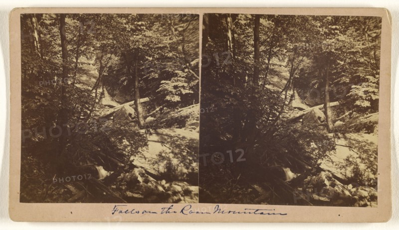Falls on Roan Mountain, North Carolina; Nat. W. Taylor, American, active 1880s - 1890s, 1870s; Albumen silver print