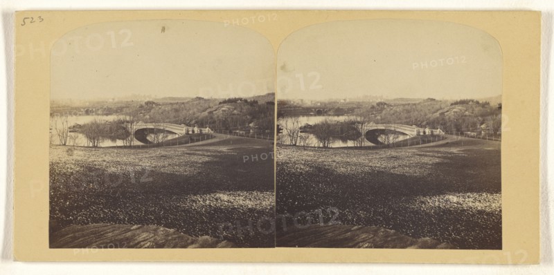 Panorama of The Ramble, Central Park, Snow not yet melted off; Tannin, ?, or Frederick F. Thompson, American, 1836 - 1899, May