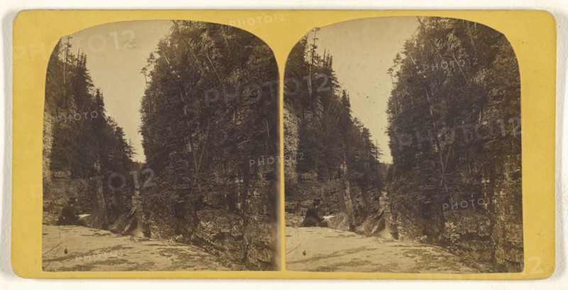 Big Flume - west side - looking down; Horace S. Tousley, American, 1825 - 1895, about 1875; Albumen silver print